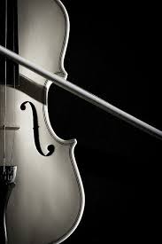 Black And White Music Instruments Photography Music Black White Photo White Violin By Summer Ming Music Violines Instrumentos Musicales Orquesta