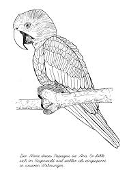Ausmalbilder Schwer Vogel