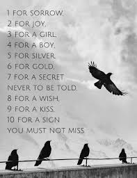 Many Believe That The Number Of Birds You See Has Special Significance Crow Spirit Animal Animal Totem Spirit Guides Birds In The Sky