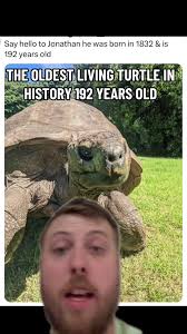 How Old Is The Oldest Turtle in The World