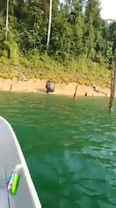 Pulau belit, pulau hulu tanjung mentong's scientic expedition in 2014. Pokpar Houseboat Tasik Kenyir Beitrage Facebook