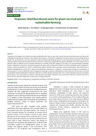 Image result for Buchnera buchneroides