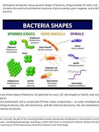 În cazul în care travaliul se declanşează înainte de depistarea infecţiei. Solved B Give The Gram Staining Reaction And Morphology Chegg Com