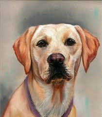 Custom Dog Portrait Pet Painting Dogs Portrait Handmade Etsy Dog Art Pet Paintings Dogs Custom Dog Portraits