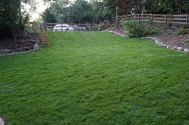 Want Low Maintenance Turf Our Marvel Ii Is A Gorgeous Dense Zoysia That Works Well In Sun And Shade And Proves Itself In Both Resi Outdoor Outdoor Decor Turf