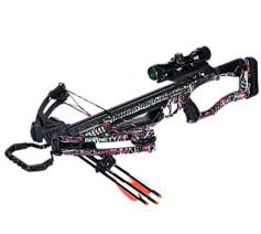 Studies testing, digital games, and computer games technology. Barnett Lady Raptor Fx2 Hunting Crossbow The Best And Most Complete Hunting Tips