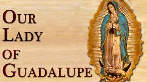 421 covington street youngstown, ohio 44510. Catholic News World 12 11 18