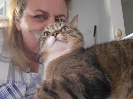 can everyone show me who my Eddie boy is in heaven with ? my Eddie passed  away 10 days ago today. show me your beautiful cats that have passed, I  want to