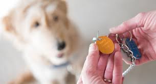 Check spelling or type a new query. What To Do When Animals Bite Premier Health