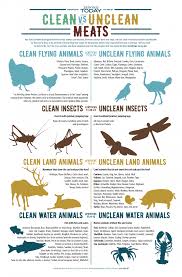 Which Animals Does The Bible Designate As Clean And Unclean Bible Food Bible Diet Bible