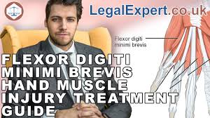 Check spelling or type a new query. Flexor Digiti Minimi Brevis Hand Muscle Injury Treatment Guide 2021 Uk Youtube