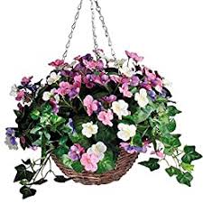 Check spelling or type a new query. 5 Best Artificial Hanging Baskets That Look Real Horticulture