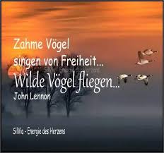 Tame Birds Sing Of Freedom Wild Birds Fly By John Lennon Zahme Vogel Singen Von Freiheit Wilde Vogel Fliegen Fliegende Vogel John Lennon Singen