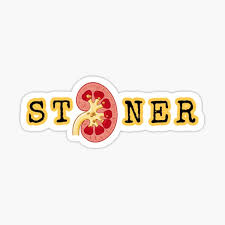 Kidney stones are small, hard deposits of mineral and acid salts that form on the inner surface of the kidneys, roger sur, m.d., director of the comprehensive computed tomography (ct) scan: Kidney Stones Gifts Merchandise Redbubble