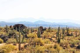 Accessible in the daytime near a mountain top cactus wedge. 5 Best Hikes In Phoenix From The Area S Major Preserves Follow Me Away