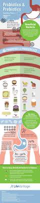 This Pin Is Important Because It Breaks Down What Certain Foods Provide For Your Immune System And Digestive He Prebiotics And Probiotics Probiotics Prebiotics