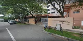 Among them is a cluster of nine cases at the westlite juniper dormitory as well as a cluster of four cases linked to a cleaner at punggol . Jhxuspsjr Ux6m