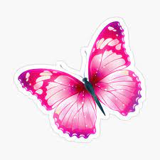 Beautiful Butterfly - Color 03