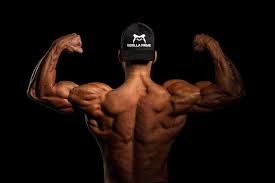 Stylized muscle anatomy chart, front and back. 500 Bodybuilder Photos Hd Download Free Images On Unsplash