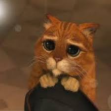 Birds in the sky reflection and ethnic music use headphones and close eyes. Celine Dion Let Your Heart Decide With Lyrics Mp3 By Evelina Pascaru