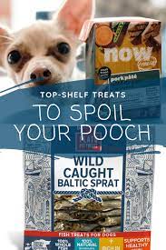 Top Shelf Treats To Spoil Your Pooch Shopstreet Organic Pet Products Best Dog Food Brands Pet Quotes Dog