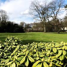 287 likes · 90 were here. Gartentechnik De
