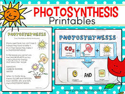 Photosynthesis For Kids Photosynthesis Photosynthesis Lessons Life Science Activities