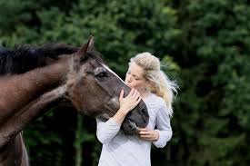 Ab wann ist für euch ein pferd alt. Ein Altes Pferd Futtern Das Mussen Sie Beachten Equidocsequidocs