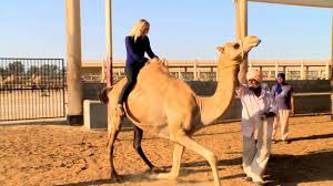 Use of a rug pad is recommended. The Royal Camel Farm Youtube