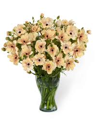 Image result for Ranunculus stagnalis