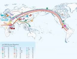 Their autosomal ancestrydna test launched in 2012, and can be integrated with their genealogical subscription service, which provides access to public records such as from the information, i learned that their ancestry dna test would estimate my origins using more than 350 worldwide regions. Genealogy Ethnic Ancestry Family Tree Dna Test Cost 13 000 00 Inr Book Online