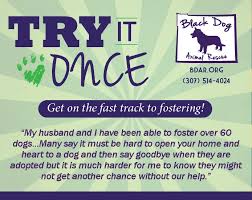 By fostering one of our animals, you are quite literally saving their life. Foster Program Black Dog Animal Rescue