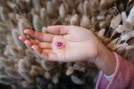 That is the promise that many shops in australia make. Sofia Clara Try This Dried Flowers An Inexpensive Decor Alternative