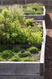 Aux Abords Directs Du Restaurant Le Potager Fait Office De Sentinelle Pour Voir Au Fil Des Saisons Ce Que Produit Le Terroir De La Gacilly En Matiere De Horta