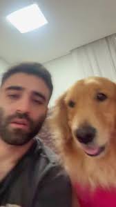 Kira e seu apelido engraçado como golden retriever