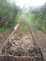 Kertas kerja binaan batas tanaman sayuran untuk kemahiran hidup. Atuk Farm Batas Tanaman Ini Batas Tanaman Baharu Kami Facebook