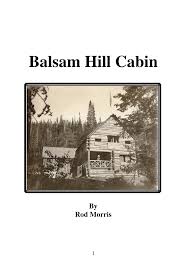 Balsam Hill Cabin