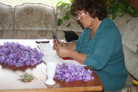 Maraichers A Sollies Pont 83210 Legumes En Vente Directe Producteur