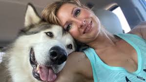 Fundraiser for Lucie Cook by CHAAMP Malamute Rescue : Bucky's Battle with  Lymphoma (insurance covers half)