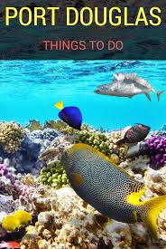 Complete Guide To What To Do In Port Douglas Australia Family Travel Blog Travel With Kids Australian Travel Australia Australia Travel