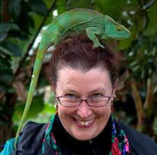 July 6, 2020 newsletter. Dear Grey House team and esteemed colleagues,