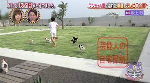 Oct 31, 2017 · 有吉ゼミで、坂上忍さんが内緒で2軒目を建てていたことが発表されました！ å‚ä¸Šå¿ã®å¹´åŽäºˆæƒ³ ãƒã‚¤ã‚­ãƒ³ã‚°ã®ã‚®ãƒ£ãƒ©ã¨å®¶ã®è¦æ¨¡ãŒã‚„ã°ã¿