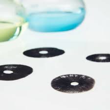 Ecuadorian caps stay narrower than the ones you posted while. Cubensis Golden Teacher Sporen Fur Die Mikroskopie Vitalpilze Onlineshop Tyroler Gluckspilze 9 90