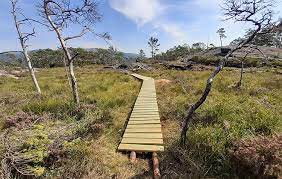 Så langt har det resultert i 38 ferdige hytter*, og våren 2022 skal det vere totalt 56 dagsturhytter i nye vestland fylke. Masfjorden Kommune Dagsturhytta Kjem Etter Siste Oppdatering Fra Leverandor Skal Hytta Leverast Med Bat I Slutten Av Komande Veke Les Meir Pa Heimesida Https Www Masfjorden Kommune No Aktuelt Nyheiter Dagsturhytta Kjem Facebook