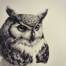 Vanessa Foley On Instagram This Great Big Great Horned Owl Is Currently Roosting On My Drawing Board Owl Tattoo Design Owls Drawing Animal Tattoos