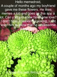 I just want flowers meme. I Want You To Buy Me Flowers Meme