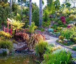 Pin On Jardin