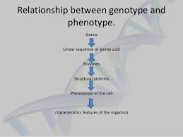May 17, 2021 · the development of dementia late in life is associated with abnormal blood levels of dozens of proteins up to five years earlier, according to a new study. Gene Protein Relattionship Genetic Fine Structure