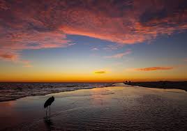 Don T Let The Sun Set On Your Anger Sunset Scenarios In The Pensacola Bay Area Victoriawinephotography Experiencepcola Sunset Beachsunset Bucketli Florida Vacation Sunset Photos Tourism