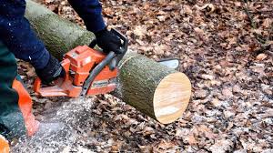 Maybe you would like to learn more about one of these? The 9 Best Electric Chainsaws Of 2021 Leafscore